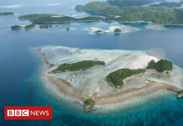 Palau is first country to ban